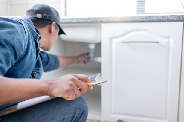 Best Sprinkler Systems  in Hampshire, IL