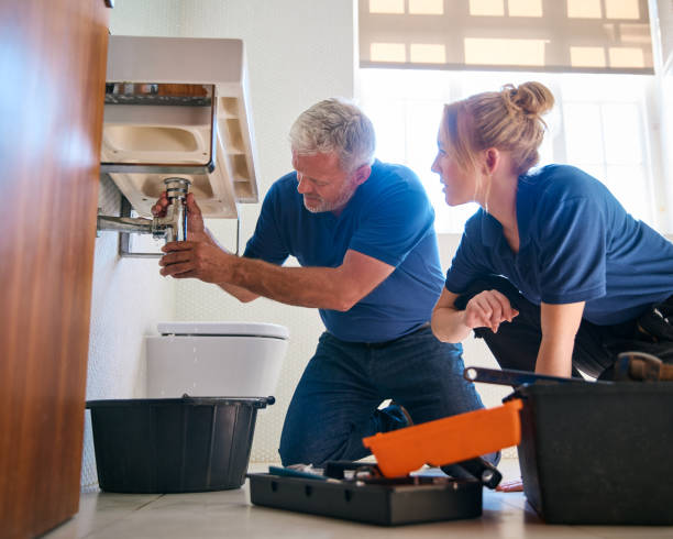 Best Same-Day Plumbing Service  in Hampshire, IL